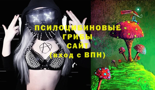 мдпв Сатка