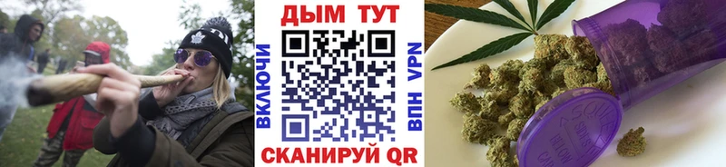 Каннабис SATIVA & INDICA купить мориарти как зайти Малмыж